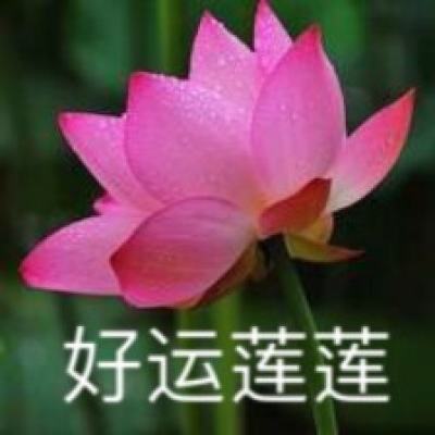 江西省南昌市政府原党组成员、副市长王强被开除党籍和公职